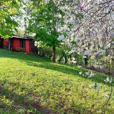 La Collina Delle Acacie Bed & Breakfast Grumolo Pedemonte Dış mekan fotoğraf