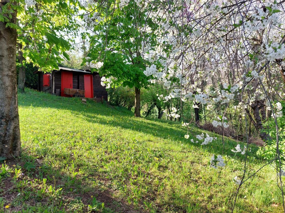 La Collina Delle Acacie Bed & Breakfast Grumolo Pedemonte Dış mekan fotoğraf